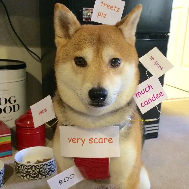 halloween-doge.jpg