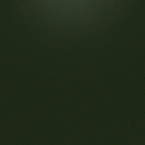 2ce01253-58f3-42d4-97f7-e050be855ab9.gif