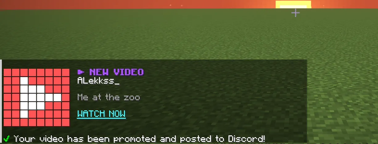 Video format