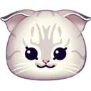 733750384559915029.png