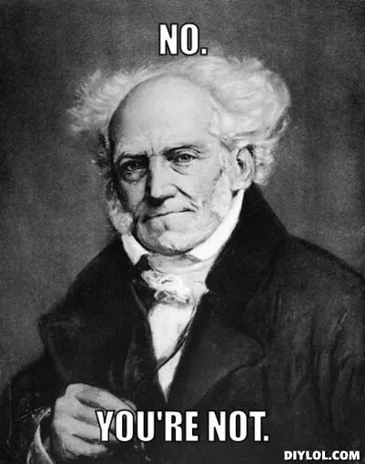 sad-schopenhauer-meme-generator-no-you-re-not-f4dcfd1.jpg