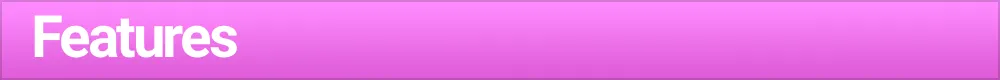 features.png