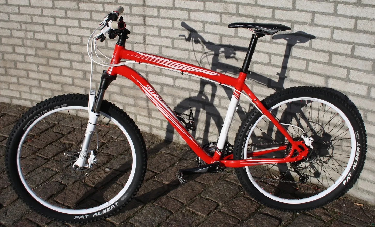HardtailMountainBike_2010_Specialized_Rockhopper.jpg
