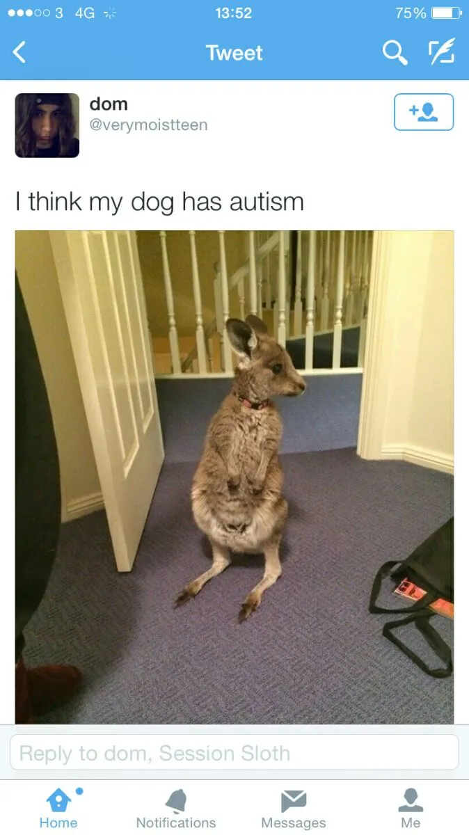 4a5f73fb10d33aa6f65eda5e2380d720.jpg