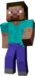 256