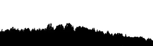 black-forest-silhouette-isolated-white-background-vector-il-illustration-your-design-89242218.jpg