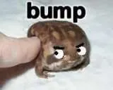 bump-1.jpg